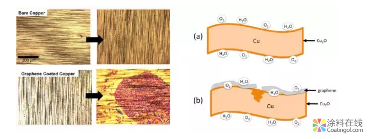 干货：浅析石墨烯改性防腐涂料——技术篇 中国涂料在线，coatingol.com