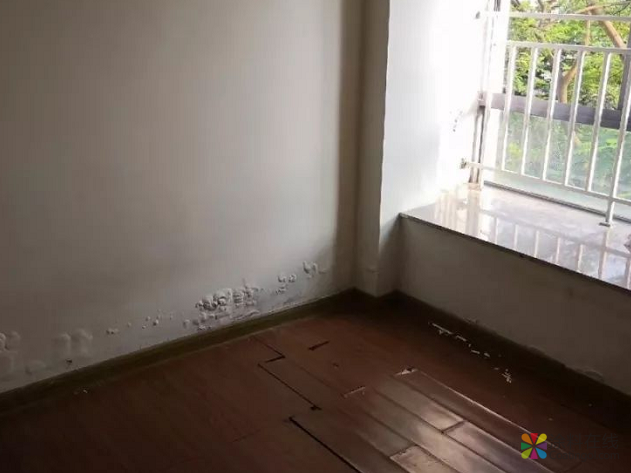 没办法，嘉宝莉“抗盐硝1号”就是这么强大！ 中国涂料在线，coatingol.com