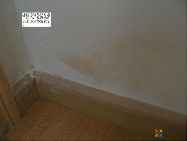腻子掉粉变黄的解决方法！墙面漆变色了怎么办？ 中国涂料在线，coatingol.com