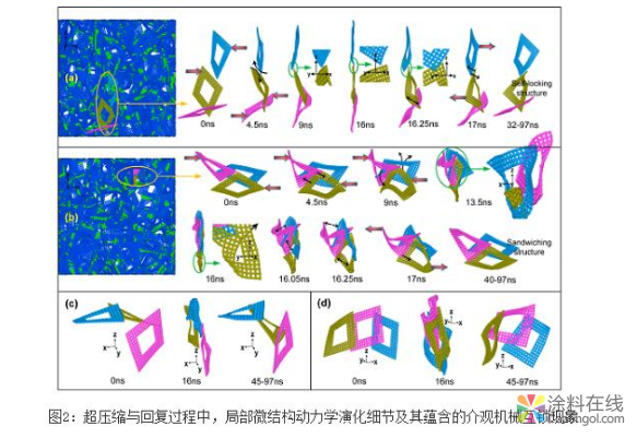 一种新型的石墨烯泡沫孔片网络拓扑模型 中国涂料在线，coatingol.com