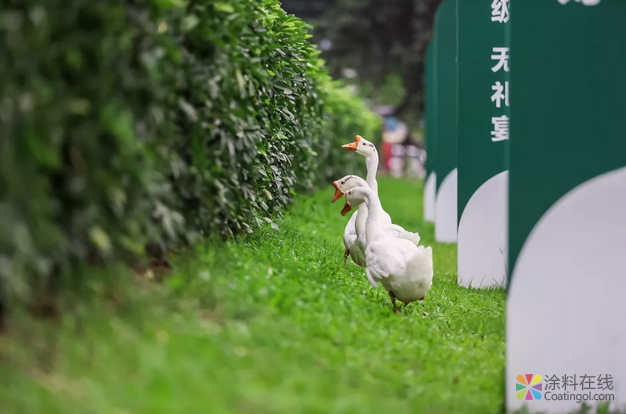 image.png 三棵树文化故事丨厂房里面惊现“鸟巢” 中国涂料在线,coatingol.com