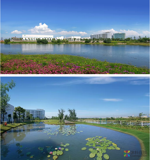 image.png 三棵树文化故事丨厂房里面惊现“鸟巢” 中国涂料在线,coatingol.com