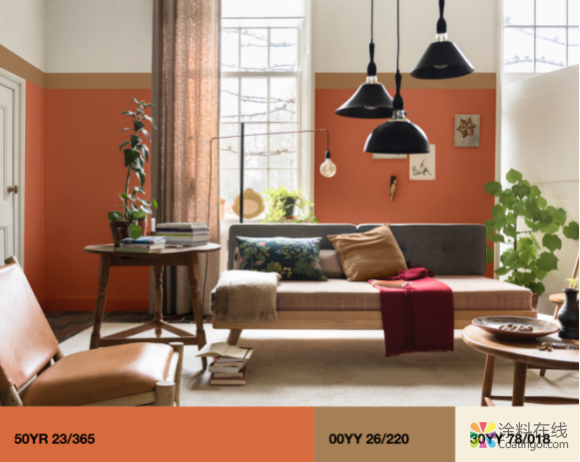 image.png 天冷了,需要一抹“琥珀黄”温润暖人心 中国涂料在线,coatingol.com