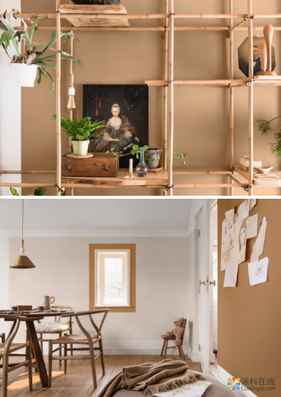 image.png 天冷了,需要一抹“琥珀黄”温润暖人心 中国涂料在线,coatingol.com