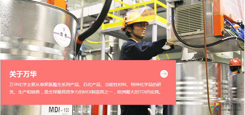 万化化学战略整合生态链，年产100万吨乙烯项目可期 中国涂料在线，coatingol.com