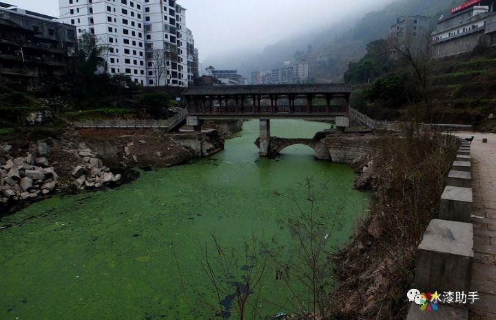 致水漆从业者的信——You Will Never Walk Alone！ 中国涂料在线，coatingol.com