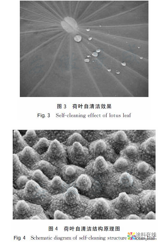节能环保型建筑铝型材粉末涂装技术与应用 中国涂料在线，coatingol.com
