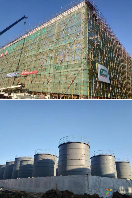 在三棵树，有一种服务叫“明光服务” 中国涂料在线，coatingol.com