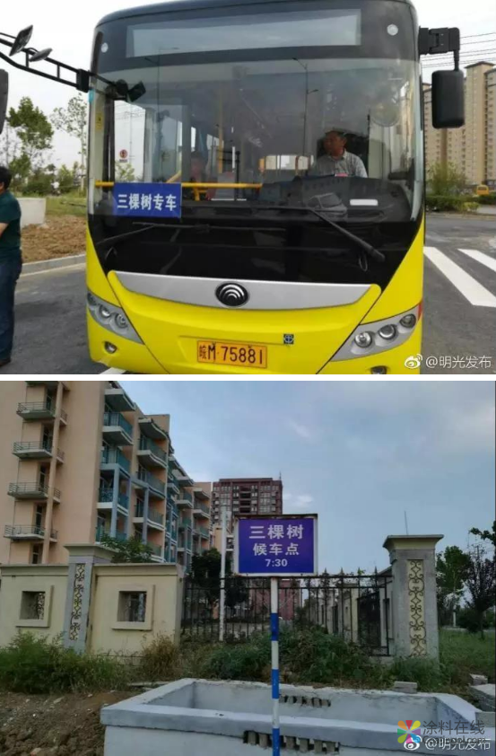 在三棵树，有一种服务叫“明光服务” 中国涂料在线，coatingol.com