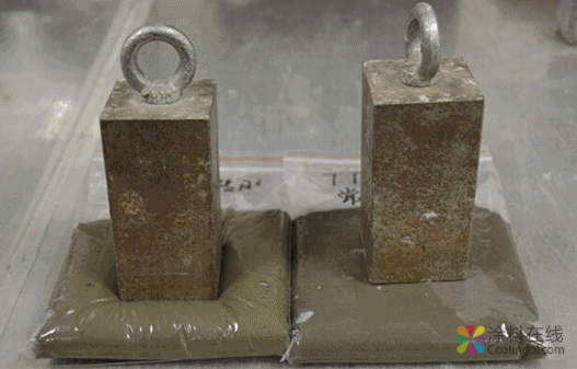 这款急性子瓷砖胶,咋那么多人喜欢? 中国涂料在线,coatingol.com