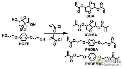 基于异山梨醇的高性能紫外线固化反应性稀释剂 中国中网信息