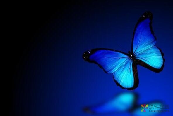 1407.jpg 立邦汽车涂料STRUCTURE BLUE惊艳亮相,打造高质量汽车涂料研发工艺 中国涂料在线,coatingol.com