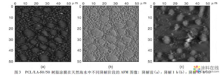 舰船高性能防腐蚀防污涂料研究进展 中国涂料在线，coatingol.com