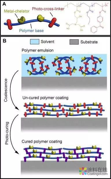 当维生素C遇上UV光固化材料 中国涂料在线，coatingol.com