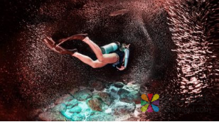 巴斯夫与彩通色彩研究所联合打造全新色彩系列 中国涂料在线，coatingol.com