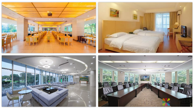 三棵树:年薪10-50W,火箭般成长速度,让你不必将就! 中国涂料在线,coatingol.com