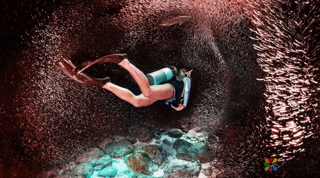 色彩性能设计，激发