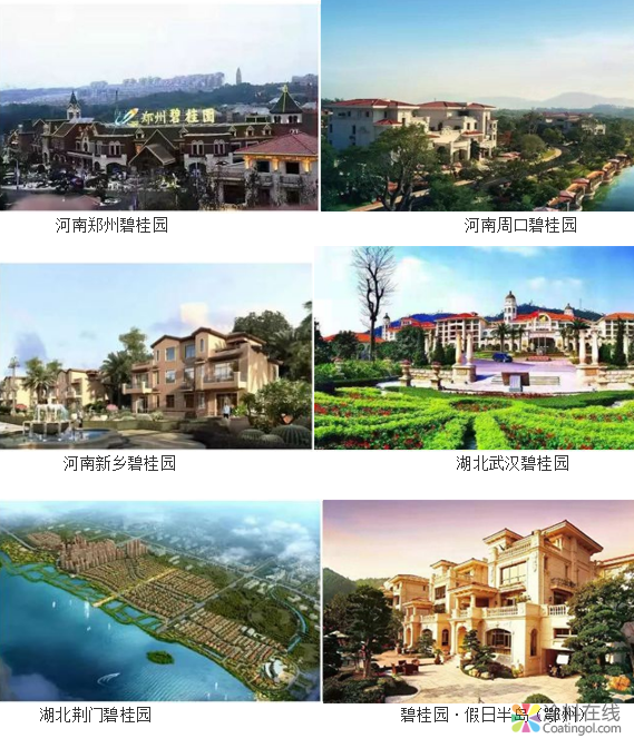 中华制漆荣获“2019年度碧桂园集团优秀供应商”称号 中国涂料在线，coatingol.com