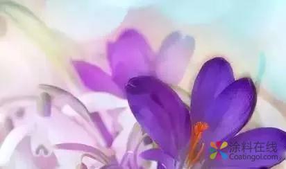 聚合物水泥防水涂料的重要认识及应用误区 中国涂料在线，coatingol.com