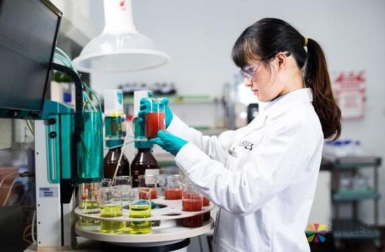 朗盛：在2019欧洲涂料展上，展示更广泛的高质量涂料生产产品组合 中国涂料在线，coatingol.com