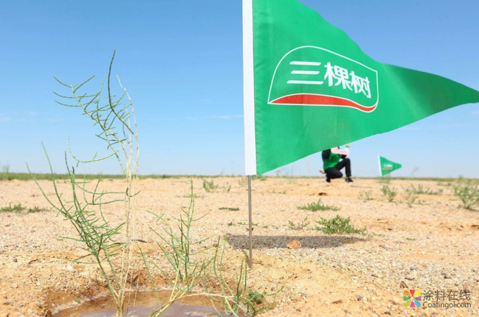 行至千里外，守护一片绿——三棵树绿色大使再访阿拉善 中国涂料在线，coatingol.com