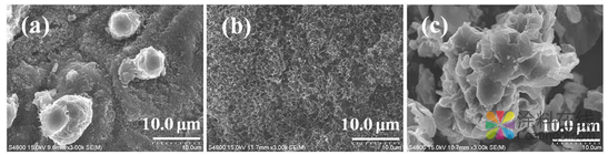 当把荷叶变成粉再放入UV光固化涂料时 中国涂料在线，coatingol.com