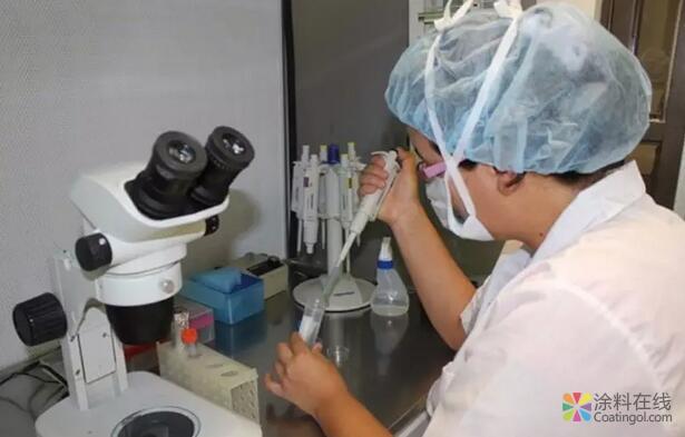 世界首次！我科学家制备出单层石墨烯纳米带 中国涂料在线，coatingol.com