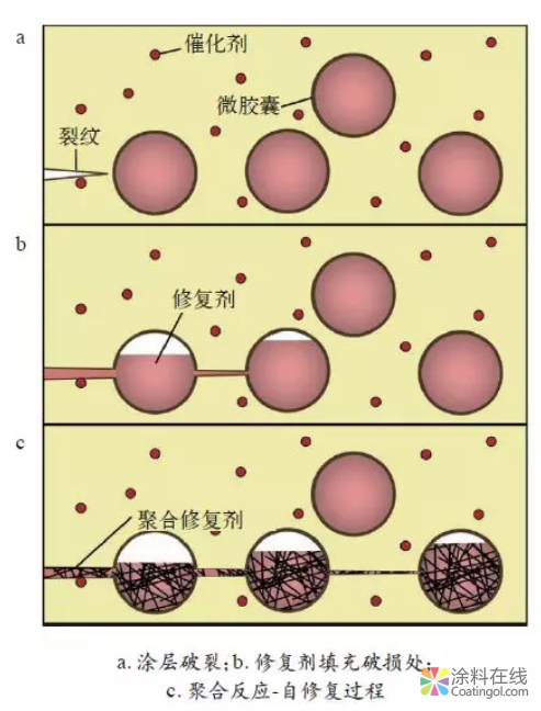 自修复智能涂料研究进展：概念、作用机理及应用 中国涂料在线，coatingol.com