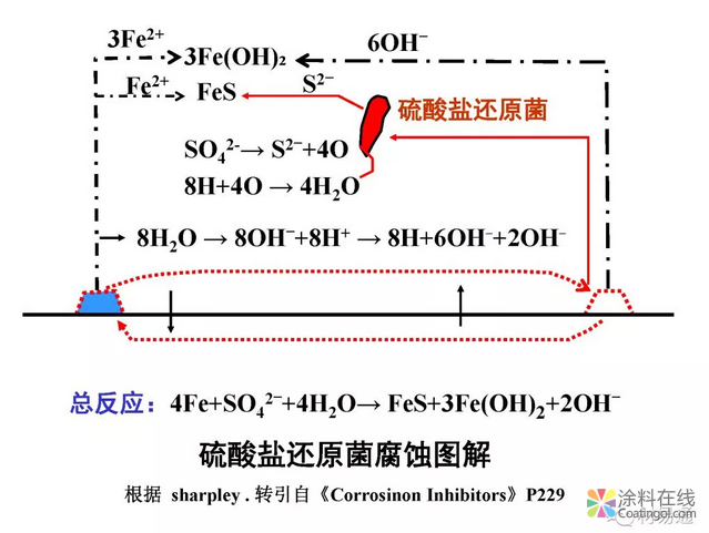 金属在环境中的腐蚀与防护（2） 中国涂料在线，coatingol.com