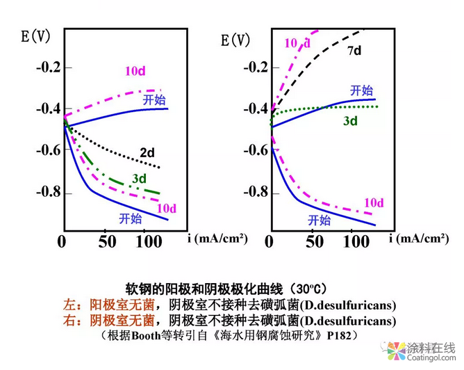 金属在环境中的腐蚀与防护（3） 中国涂料在线，coatingol.com