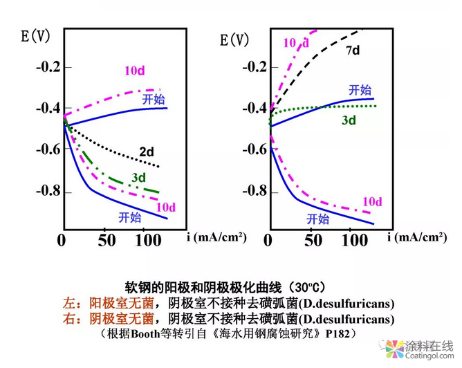 金属在环境中的腐蚀与防护（3） 中国中网信息