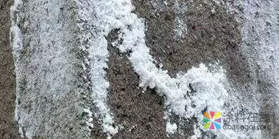 外墙涂料泛碱泛白怎么办?这样处理 中国涂料在线,coatingol.com