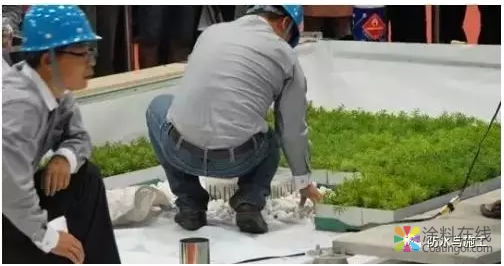 种植屋面防水材料必须具备的两个前提是什么？ 中国涂料在线，coatingol.com