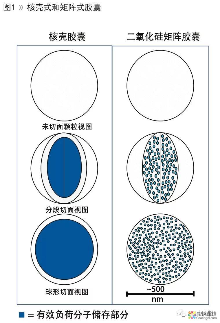 智能缓释技术与防护涂料的性能提升 中国涂料在线，coatingol.com