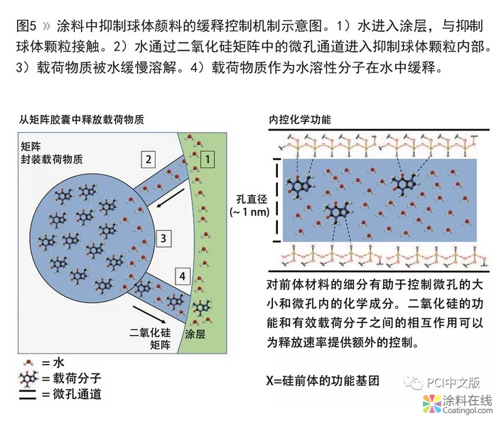 智能缓释技术与防护涂料的性能提升 中国涂料在线，coatingol.com