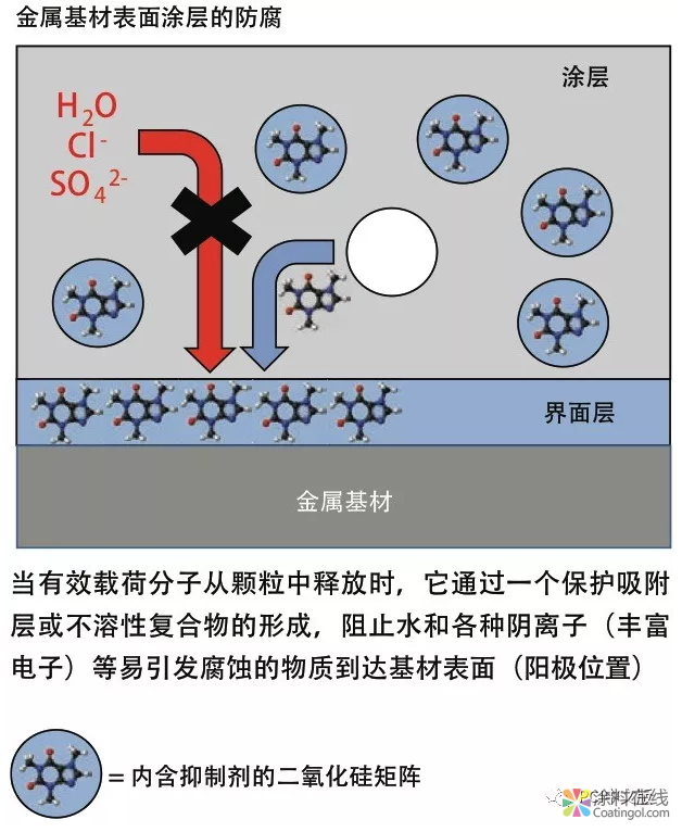 智能缓释技术与防护涂料的性能提升 中国涂料在线，coatingol.com