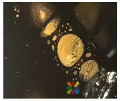 汽车涂装工艺基础 涂料在线，coatingol.com