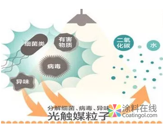 净醛时代，凭什么它是“室内甲醛终结者”？ 涂料在线，coatingol.com