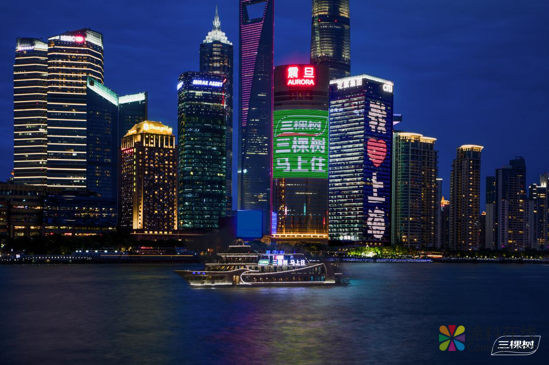 今夜，上海滩为三棵树点亮 涂料在线，coatingol.com