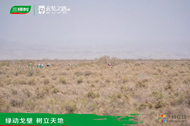 三棵树戈二行第3日：霜冻来袭，西北风肆虐，戈友们再次接受了挑战 涂料在线，coatingol.com