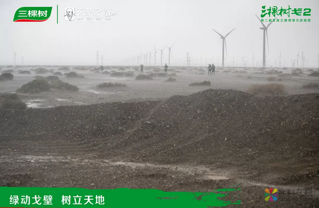挑战极限，升华精神——三棵树戈二行圆满收官 涂料在线，coatingol.com