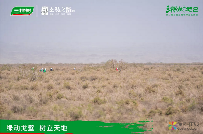 挑战极限，升华精神——三棵树戈二行圆满收官 涂料在线，coatingol.com