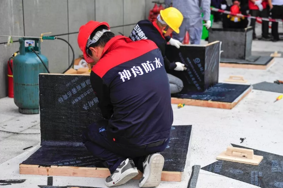防水湘军再比武，各奖项花落谁家？湖南连续四年举办防水技能大赛(附获奖名单) 涂料在线,coatingol.com