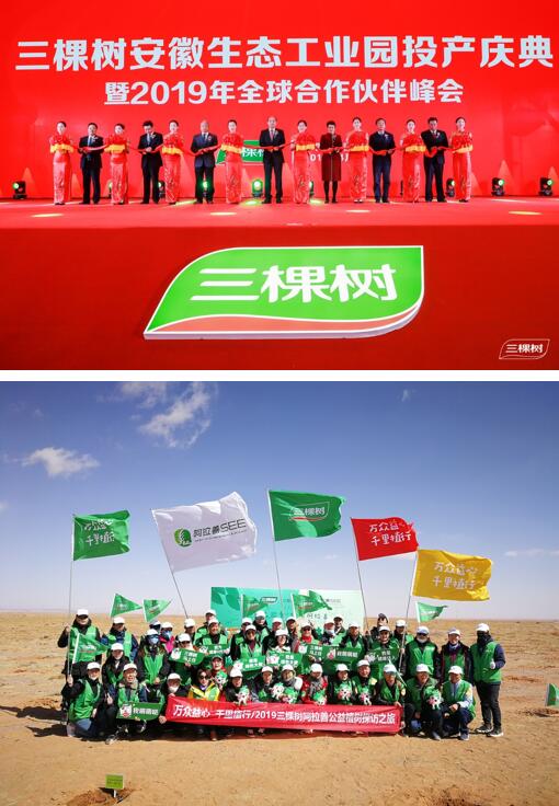三棵树以239.85亿元位列“2019年中国500最具价值品牌”涂料类第一 涂料在线,coatingol.com