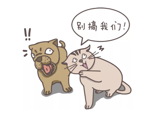 中国式装修，房奴的另一则辛酸故事 涂料在线,coatingol.com