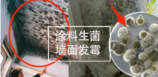 耐高温粉末涂料抗菌剂 涂料在线,coatingol.com