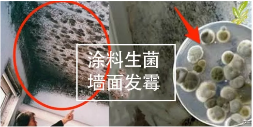 耐高温粉末涂料抗菌剂 涂料在线,coatingol.com