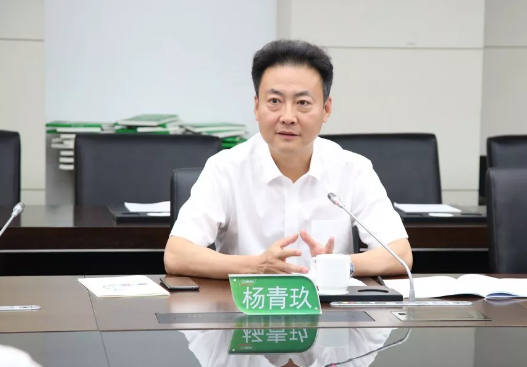 濮阳市市长杨青玖率队走进三棵树考察交流 中网信息