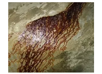混凝土裂缝修复技术体系（二）——浅析混凝土产生裂缝的六种收缩及种类和危害 涂料在线,coatingol.com