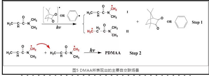 采用蓝光固化体系制备高吸水高性能水凝胶 涂料在线,coatingol.com